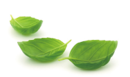 Medio ambiente